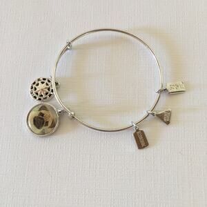 Wind and Fire Silver Tone Pug Dog Bracelet